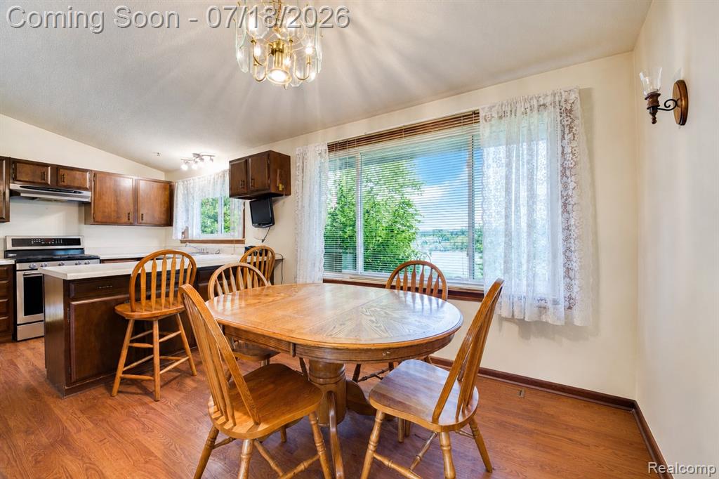 9550 Kies Road, Manchester, MI 48158 — Photo 9
