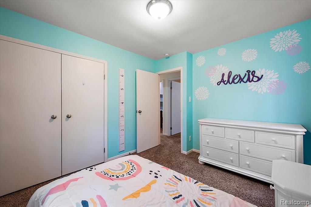 5836 Ewalt Road, Imlay City, MI 48444 — Photo 59