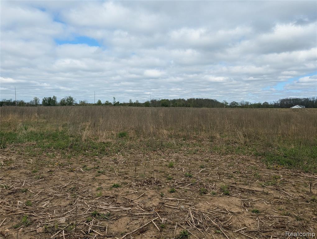 Parcel E Hogan Road, Linden, MI 48451 — Photo 10