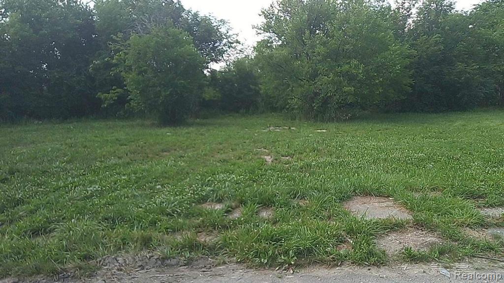 4288 WEBB Street, Detroit, MI, 48204