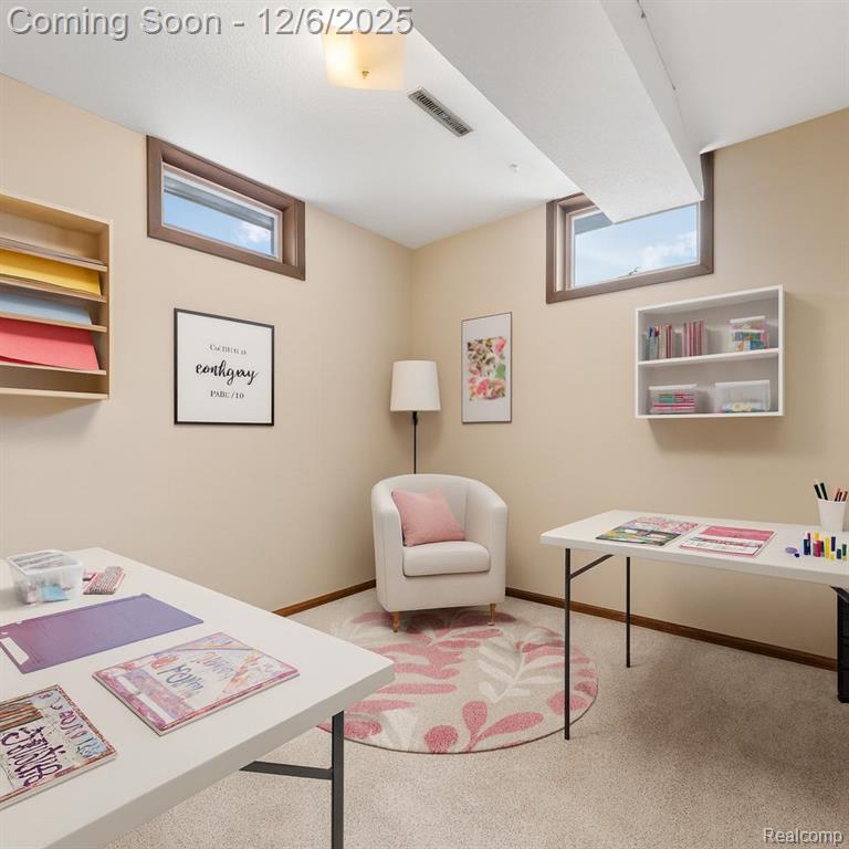 5886 S Green Avenue, Fremont, MI 49412 — Photo 11