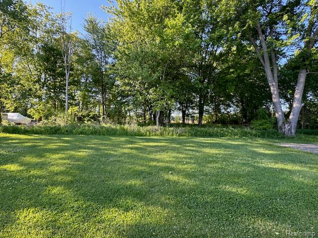 9972 Dixie Highway, Ira, MI — Photo 10