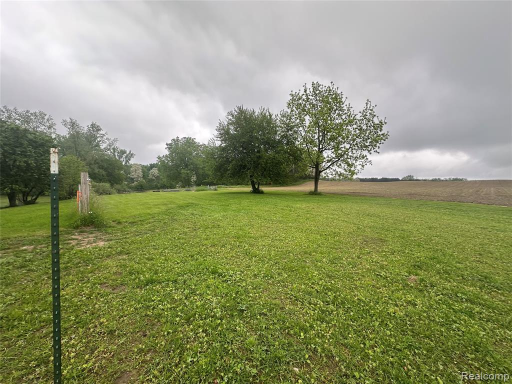 VL Mertz Road, Mayville Vlg, MI 48744 — Photo 4