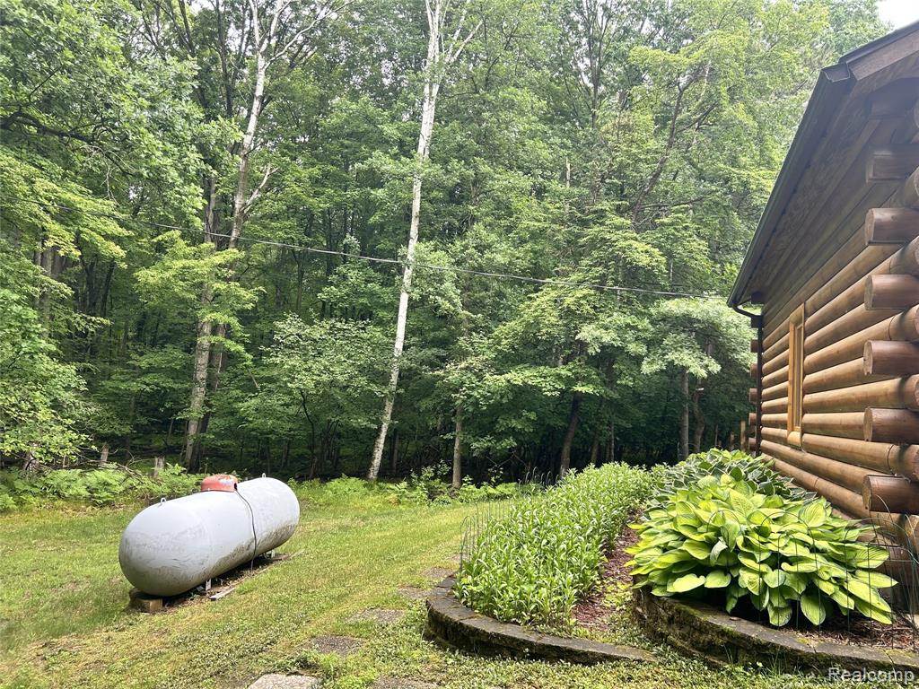 4636 N Hope Road, Hope, MI 48628 — Photo 8