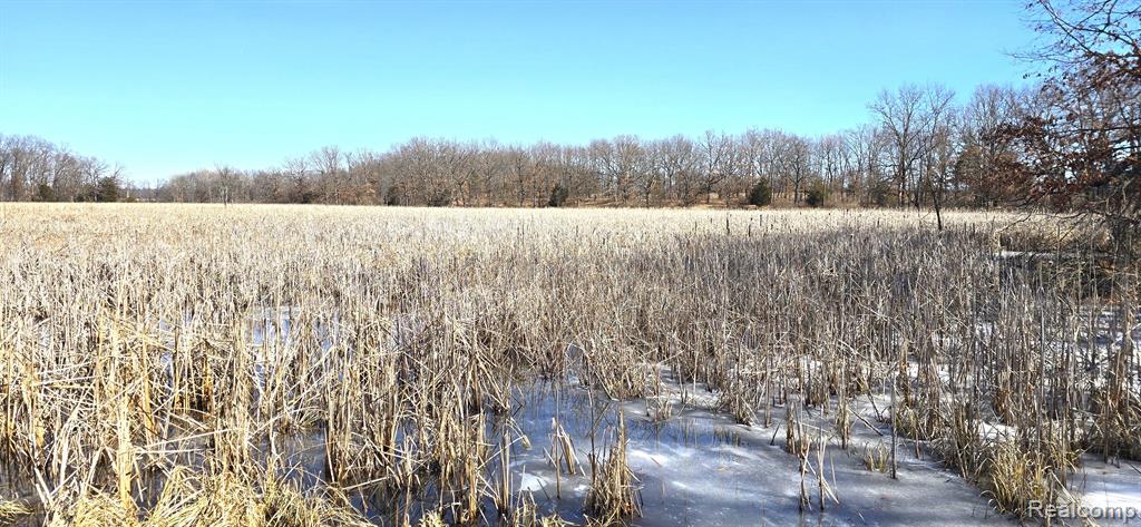 8950 GREENWOOD Road, Jackson, MI 49201 — Photo 41