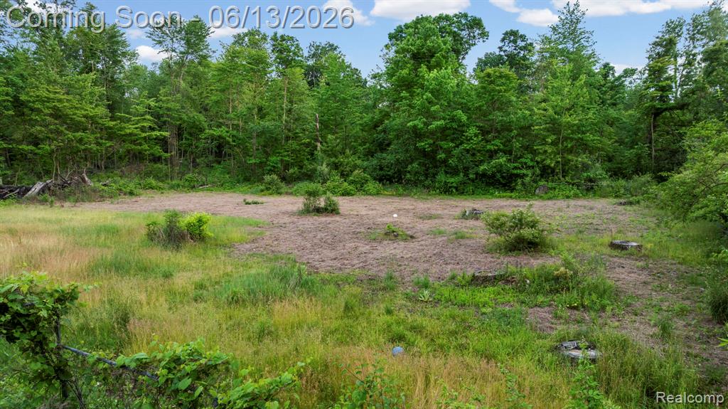 51105 Arkona Road, Belleville, MI 48111 — Photo 25