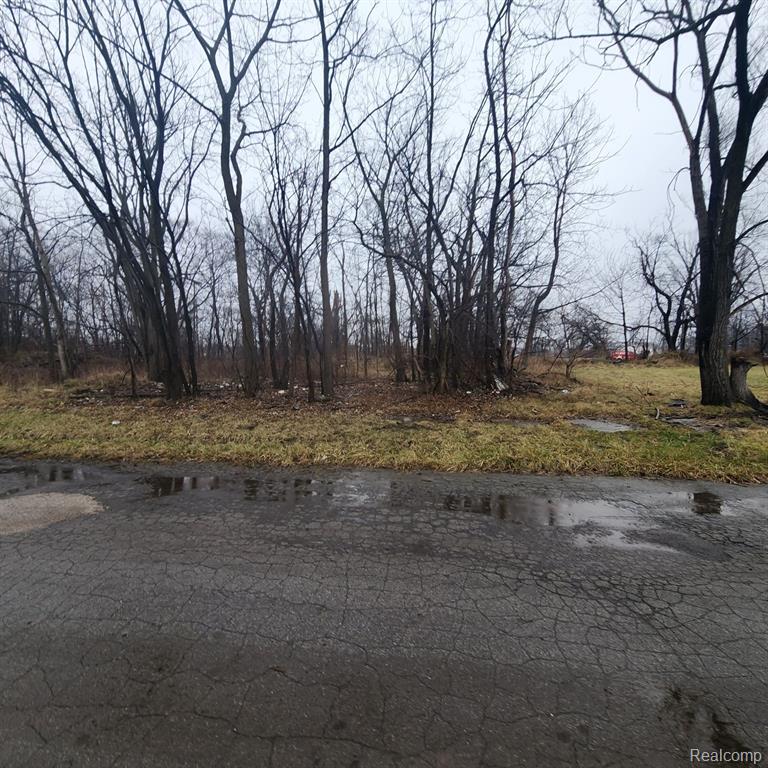 2242 SAINT JOSEPH Street, Detroit, MI 48207 — Photo 5