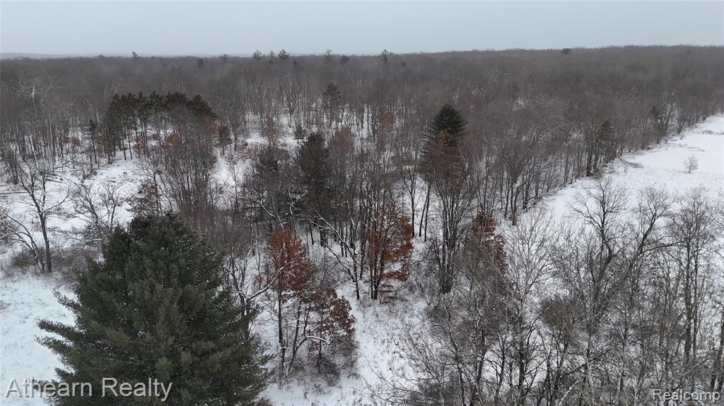 5785 Bringold, Lake, MI 48632 — Photo 2