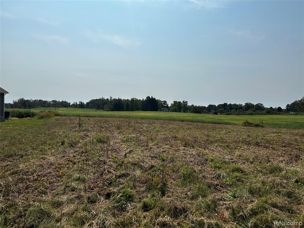 Parcel N N Hacker Road, Howell, MI 48843 — Photo 4