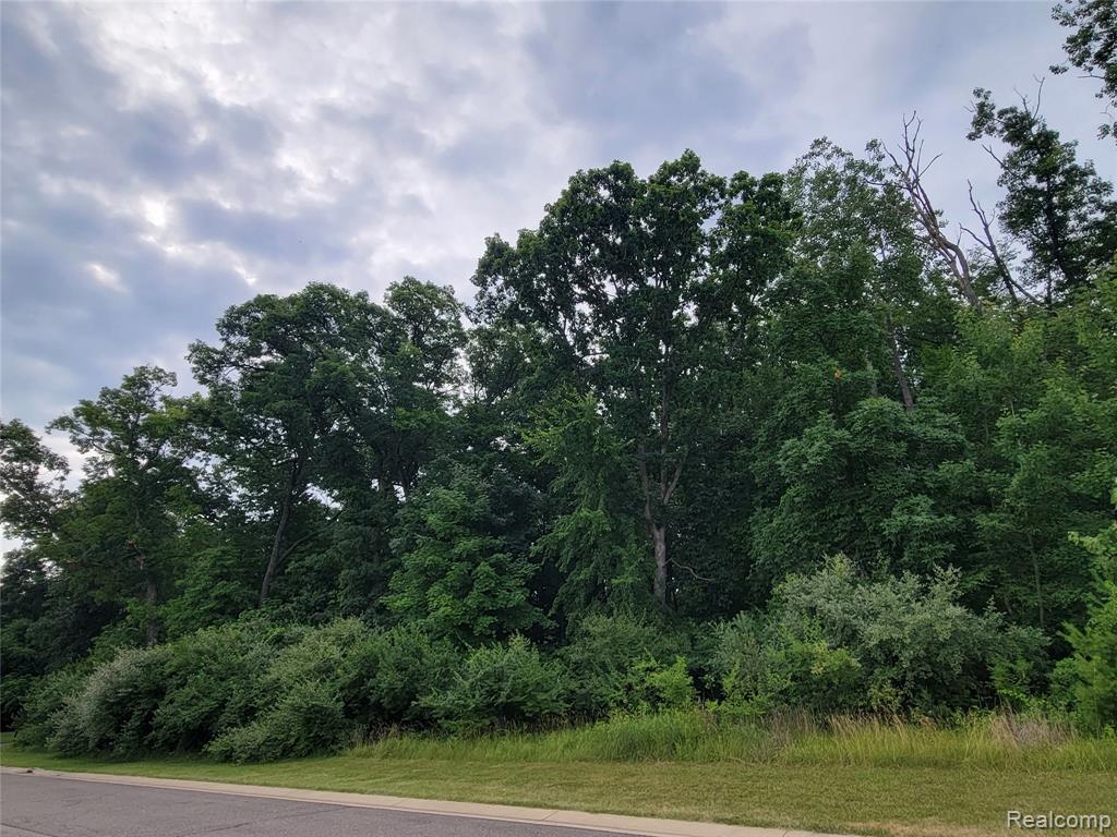 Lot 14 - 5972 Wyndam Lane - Photo 2