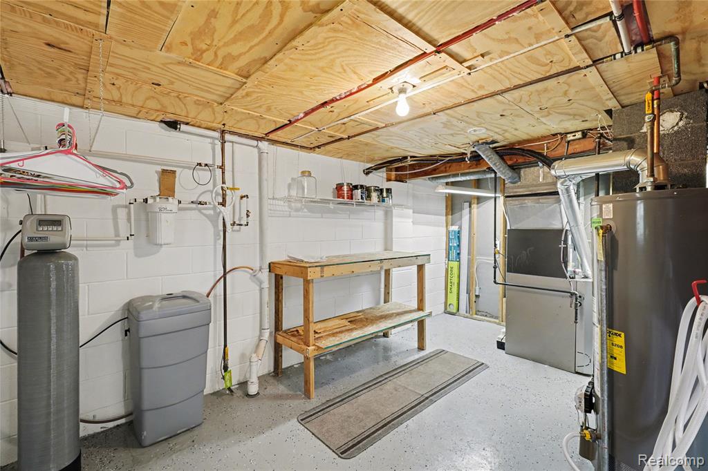 204 South Street, Fowlerville, MI 48836 — Photo 19