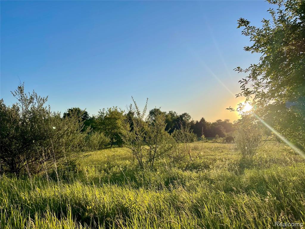 0 Hayden Road, Attica, MI 48412 — Photo 4