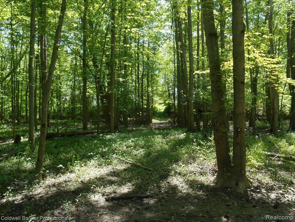 1651 CASTLE Road, North Branch, MI 48461 — Photo 24