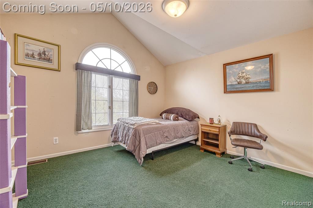 30425 Ridge Court, New Hudson, MI 48165 — Photo 39