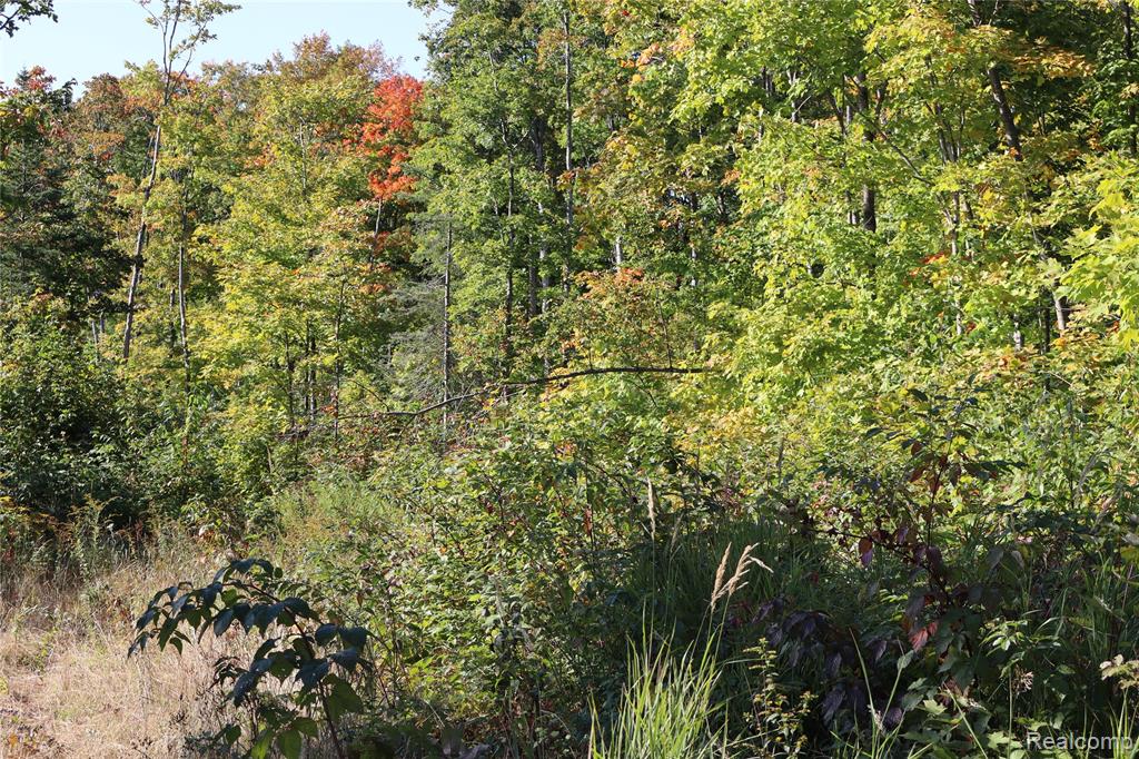 Lot D W Pendills Lake Road, Brimley, MI 49715 — Photo 26