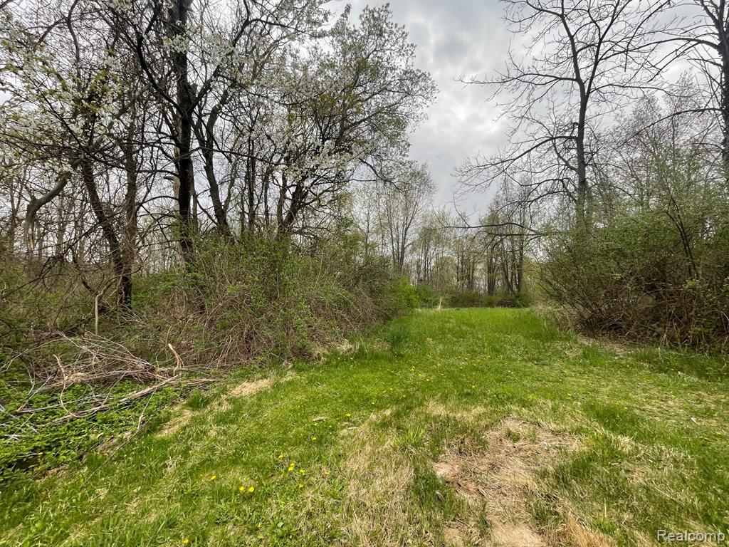 5559 Tipsico Lake Road, Holly, MI 48442 — Photo 2