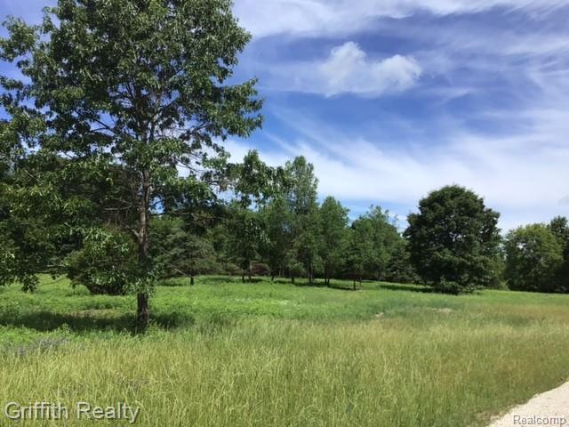 Parcel 1 E Coon Lake Road, Howell, MI 48843