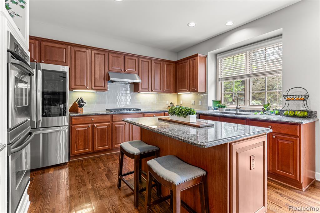 17303 Black Pine Drive, Northville, MI 48168 — Photo 17