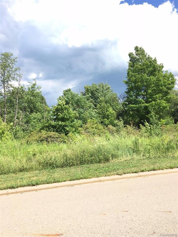 0000 Beecher Road, Flint, MI 48532