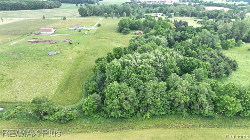 5253 BURNSIDE Road, North Branch, MI 48461 — Photo 11