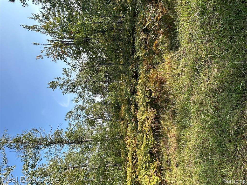 LOTS 1818 and 1819 Falcon Way, Gaylord, MI — Photo 2