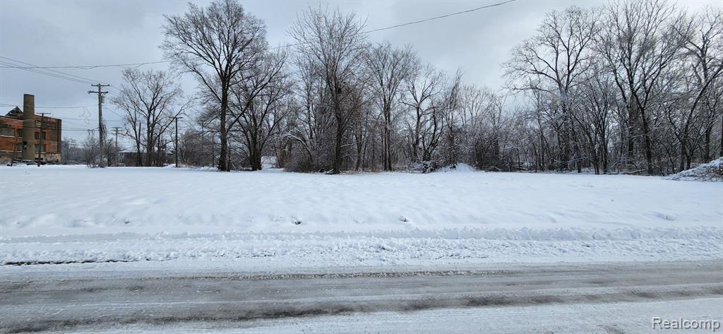 2739 BUCHANAN Street, Detroit, MI 48208 — Photo 7