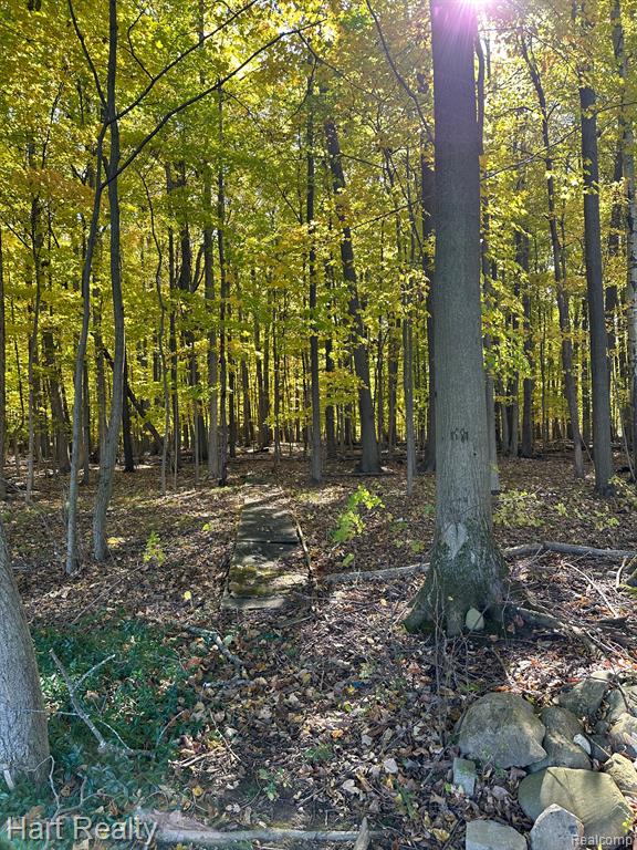 5102 BROWN Road, Kenockee, MI 48006 — Photo 7