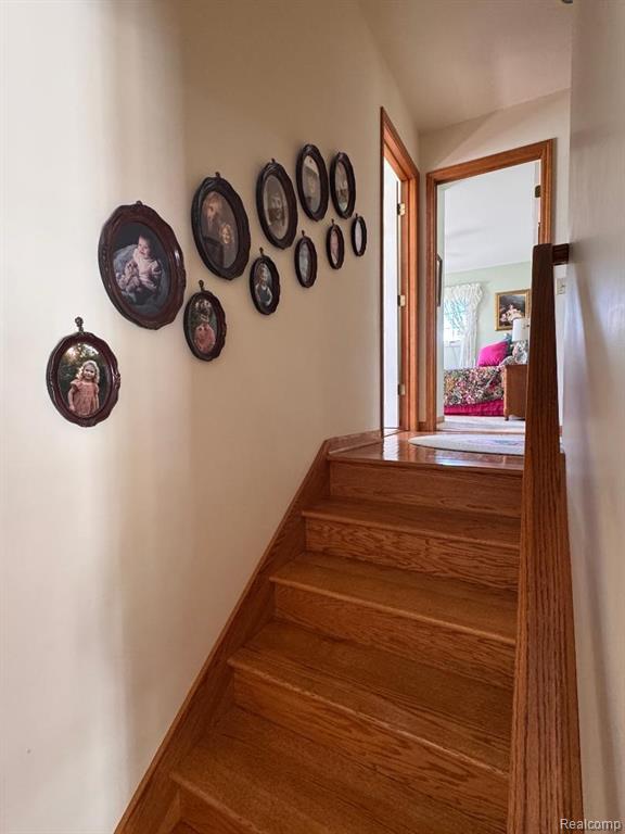 6686 Schott Road, Mayville Vlg, MI 48744 — Photo 11