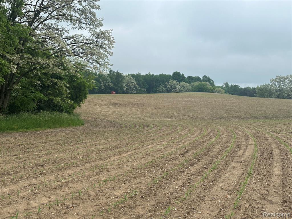 VL Mertz Road, Mayville Vlg, MI 48744 — Photo 27