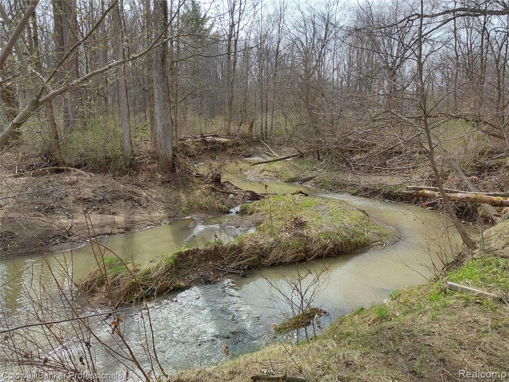 VL Rattle Run Road, St. Clair, MI 48079 — Photo 20