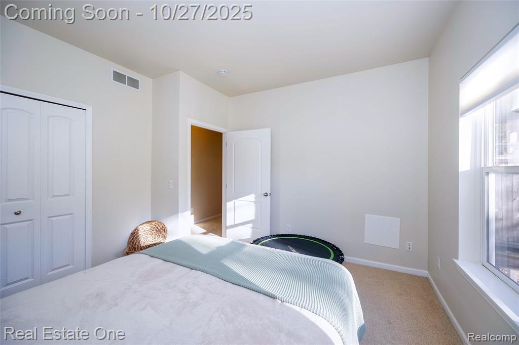 11426 Wolfort Spur, 41, Brighton, MI 48116 — Photo 31