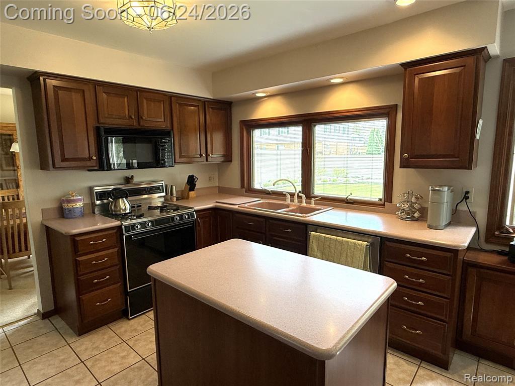 14667 Brookline Street, Riverview, MI 48193 — Photo 17
