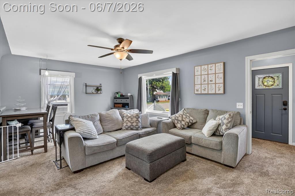 239 E Chestnut Street, Webberville, MI 48892 — Photo 9