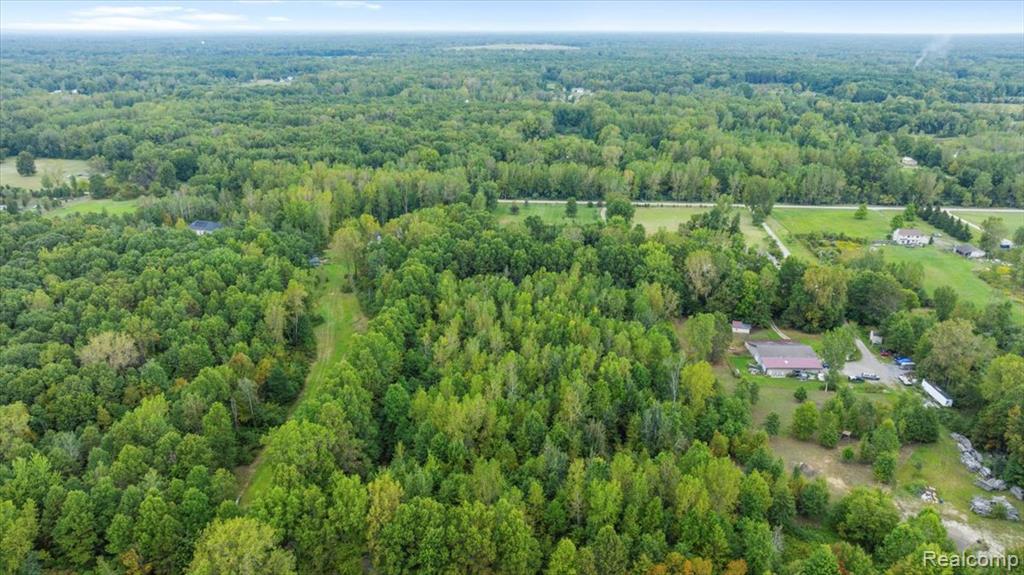 6411 W Newburg Road, Carleton, MI 48117 — Photo 42