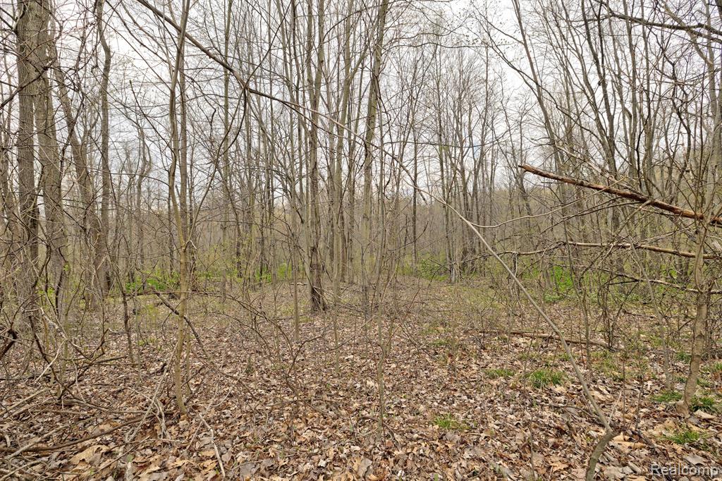 311 DOGWOOD Lane, Ortonville, MI 48462 — Photo 29