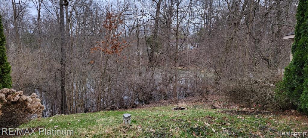 4059 LINK Drive, Brighton, MI 48114 — Photo 24
