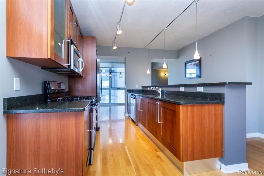 432 S Washington Avenue, 1007, Royal Oak, MI 48067 — Photo 7
