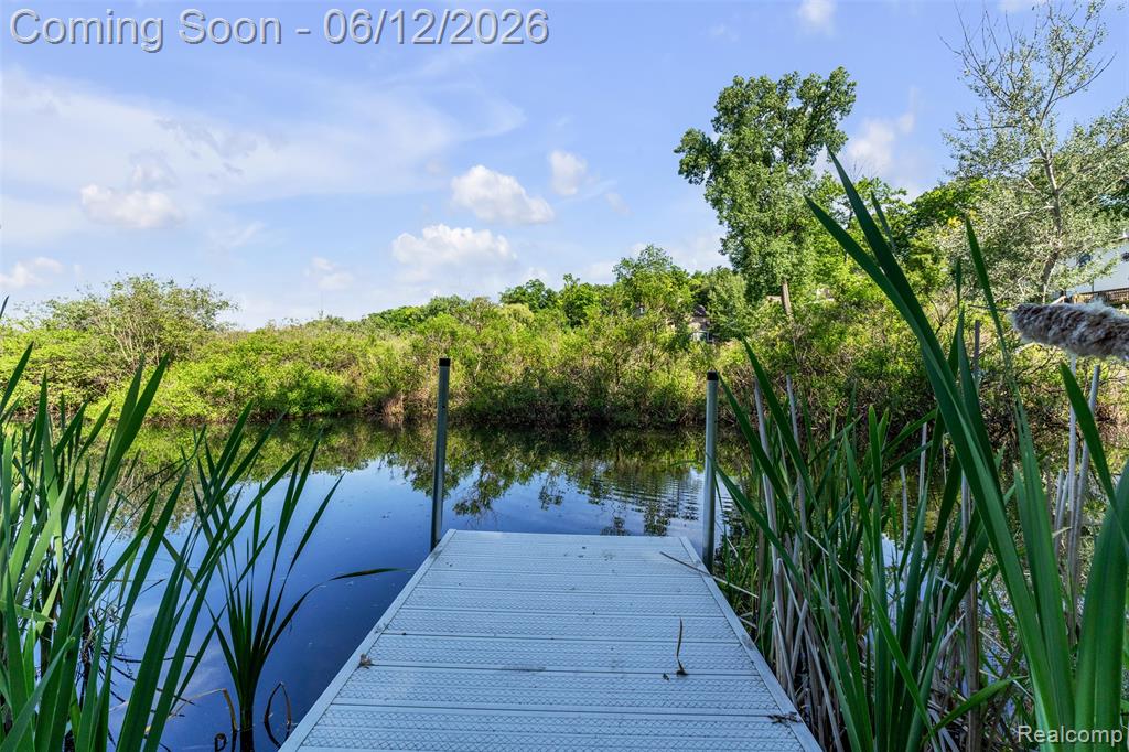 920 Hickory Ridge Circle, Milford, MI 48380 — Photo 48