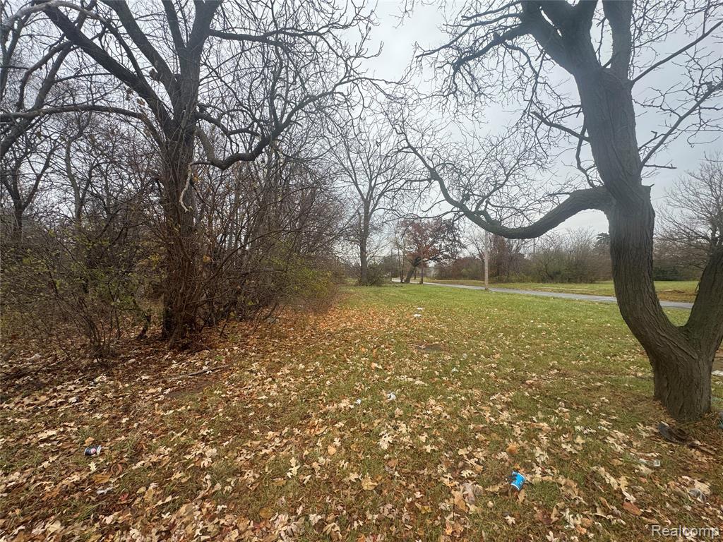 4226 18TH Street, Detroit, MI 48208 — Photo 12