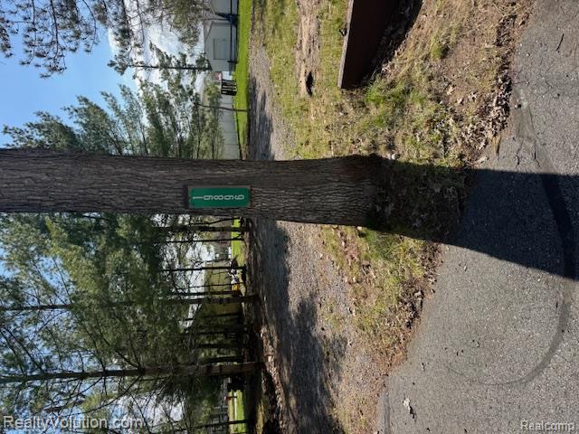 19896 Eastside Drive, Atlanta, MI 49709 — Photo 52