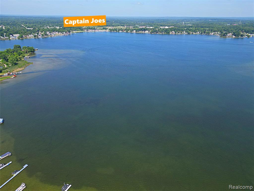 412 E Shore Drive, Whitmore Lake, MI 48189 — Photo 61