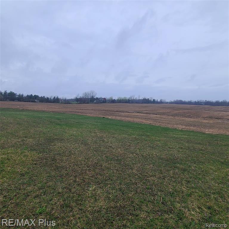 7931 Clear Lake Road, Brown, MI 48416 — Photo 13