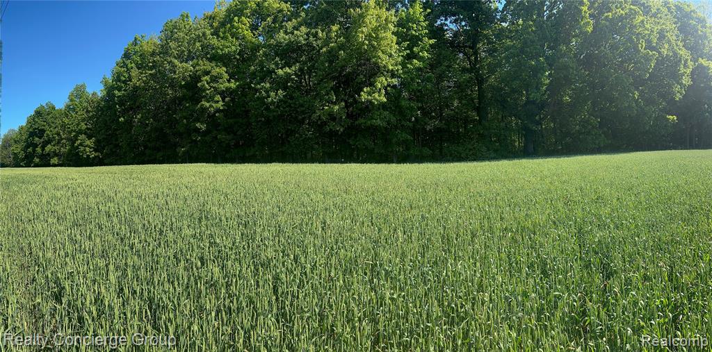 2681 Fisk Road, Howell, MI 48843 — Photo 18