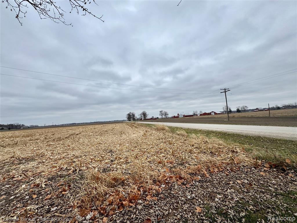 4402 Watson Road, Carleton, MI 48117 — Photo 24