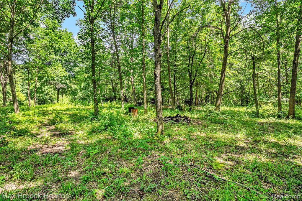 7132 N Oak Road, Davison, MI 48423 — Photo 3