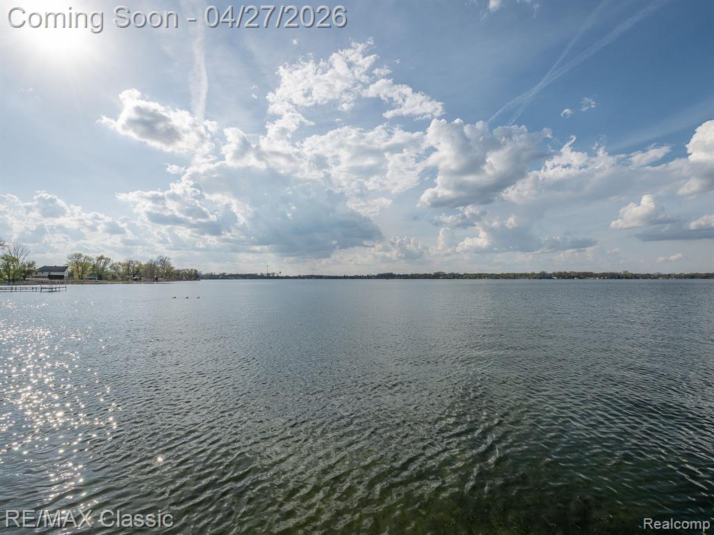 428 E Shore Drive, Whitmore Lake, MI 48189 — Photo 46