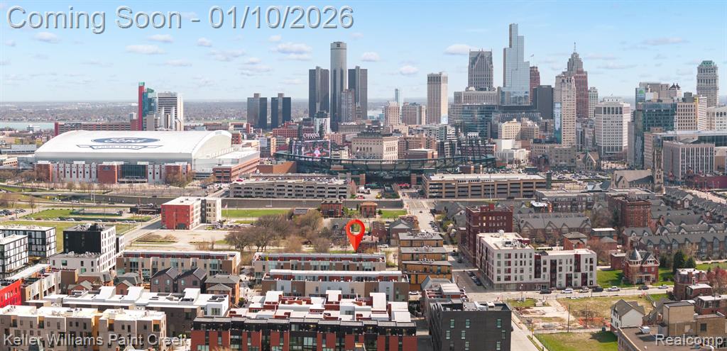 220 ALFRED Street, Detroit, MI 48201 — Photo 43