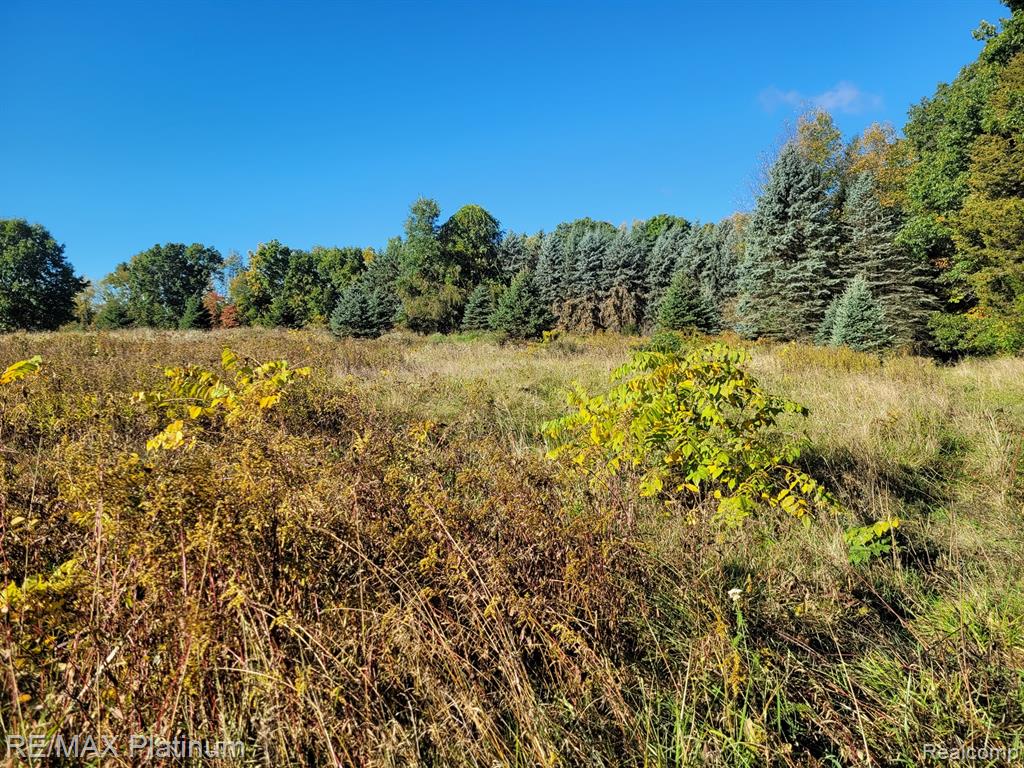 Parc B Tipsico Lake Road, Hartland, MI 48353 — Photo 5