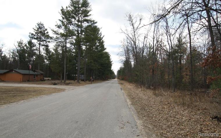 V/L S BRODIE Road, South Branch, MI 48761 — Photo 6