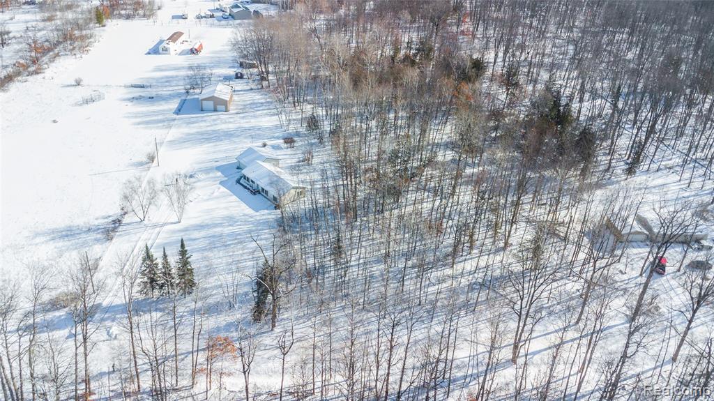 11944 N Wise Road, Clare, MI 48617 — Photo 23